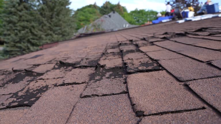 Best Wood Shake Roofing  in Montgomery, OH